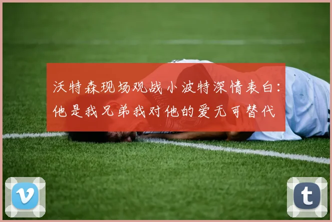 沃特森现场观战小波特深情表白：他是我兄弟我对他的爱无可替代